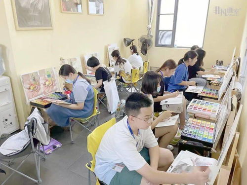 艺考生注意 把握高职批次志愿，警惕职业中介误导